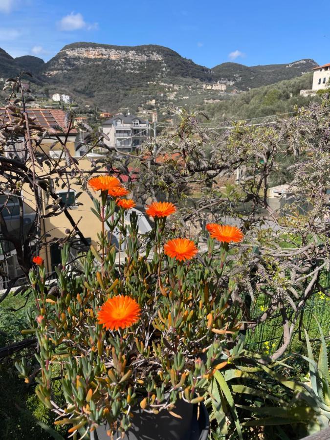 Bed & Breakfast La Dormeria Finale Ligure
